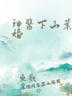 神医下山叶凡退婚 神医下山叶凡退婚