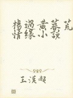杨过黄蓉荒岛之情缘小说