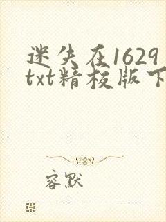 迷失在1629txt精校版下载