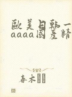 欧美日韩一级aaaaa国产精品
