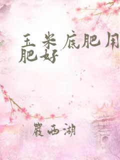 玉米底肥用什么肥好