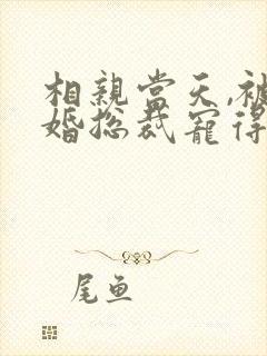 相亲当天,被闪婚总裁宠得腿软