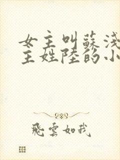 女主叫苏浅,男主姓陆的小说