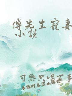 傅先生宠妻无度 小说