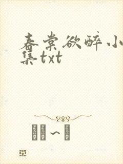 春棠欲醉小说全集txt