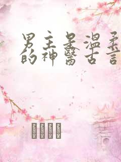 男主是温柔儒雅的神医古言