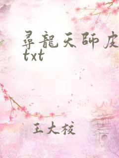 寻龙天师皮剑青 txt