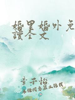 婚里婚外免费阅读全文