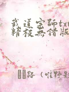 武道宗师txt精校无错版