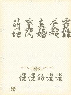 萌宝来袭霸总爹地闪婚超能妈咪