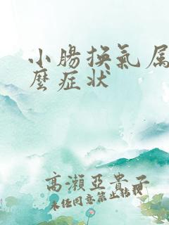 小肠换气属于什么症状