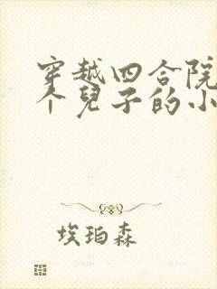 穿越四合院十二个儿子的小说