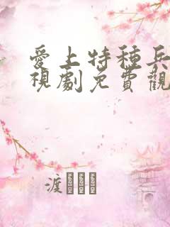 爱上特种兵2电视剧免费观看完整版