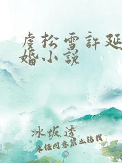 虞松雪许延年军婚小说