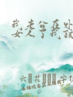 我老公在外面有女人了我该怎么办