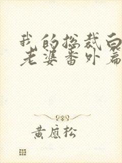 我的总裁白富美老婆番外篇