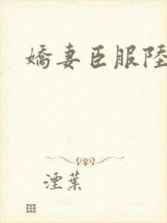 娇妻臣服陆瑶h 娇妻臣服陆瑶h