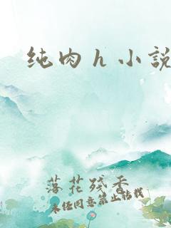 纯肉 h 小说