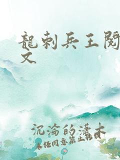 龙刺兵王阅读全文