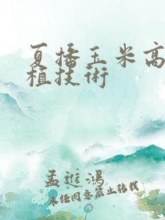 夏播玉米高产种植技术