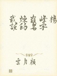 武炼巅峰杨开小说的名字
