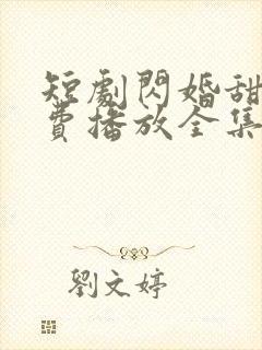 短剧闪婚甜妻免费播放全集