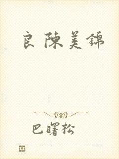 良 陈美锦