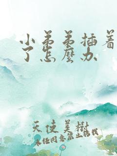 小弟弟插着就软了怎么办