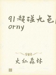 91超碰九色porny