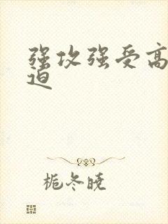 强攻强受高h被迫