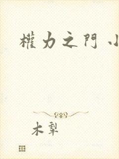 权力之门 小说