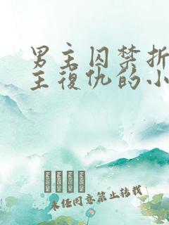 男主囚禁折磨女主复仇的小说