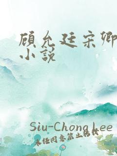顾允廷宋卿落的小说