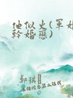 他似火(军婚高干婚恋)