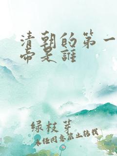 清朝的第一位皇帝是谁