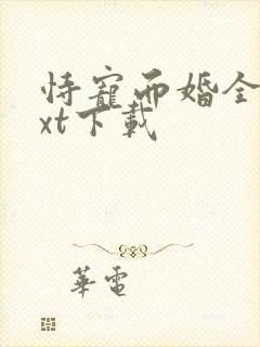 恃宠而婚全文txt下载