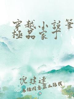 穿越小说笔趣阁极品家丁
