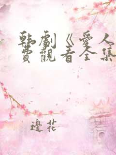 韩剧《爱人》免费观看全集