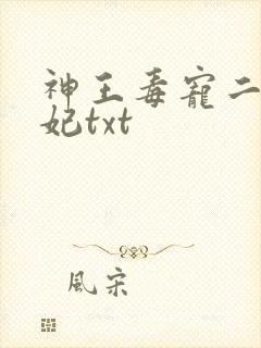 神王毒宠二嫁王妃txt