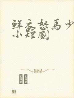 鲜衣怒马少年郎小短剧