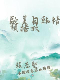 欧美日韩精品视频播放