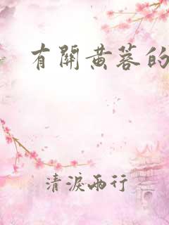 有关黄蓉的小说