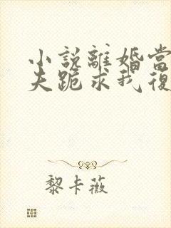 小说离婚当天前夫跪求我复合免费