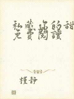 私藏你的甜小说免费阅读