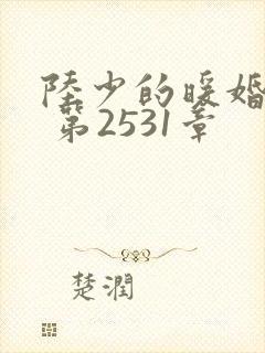 陆少的暖婚新妻 第2531章