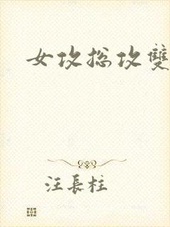 女攻总攻双性受