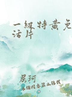 一级特黄免费生活片