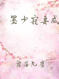 墨少宠妻成瘾全