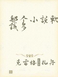 那个小说软件赚钱多