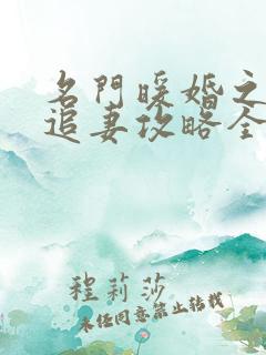 名门暖婚之权爷追妻攻略全文阅读